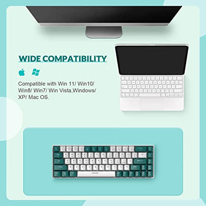ZIYOU LANG RK-T8 Wired 65% Mechanical RGB Gaming Keyboard-Green/White | Rainbow Backlit,Anti-ghosting,TKL,Mini 68 Key,Custom Coiled C to A Cable,Tactile Blue Switch for PS4 PS5 Xbox PC Mac Gamer - color: Green White, size: 65% Keyboard