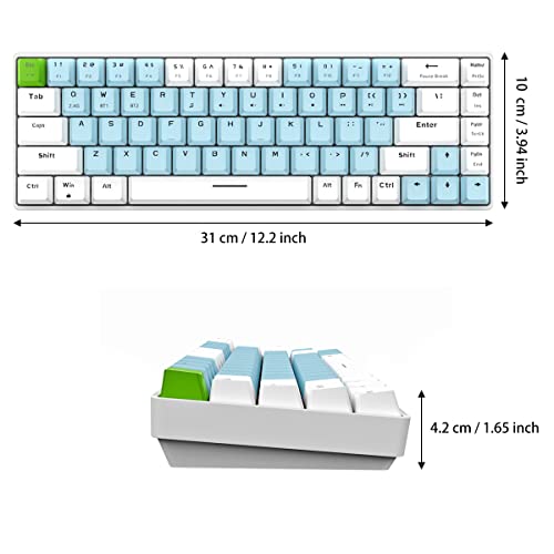 Qisan Mechanical Gaming Keyboard Dual Mode 2.4G/BT Wireless Keyboard with Blue Switch Mini Design (60% Keyboard) 68 Keys Computer Keyboard US Layout | Gaming Pc | Wireless Gaming Keyboard - color: Blue Switch Blue & White Combo Color