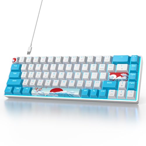 Portable 60% Mechanical Gaming Keyboard White/Blue, RGB Backlit Wired Key Board with Red Switch, Compact 68 Keys Office Keyboards with for Windows Laptop PC (68 Sea/Red Switch) - color: 68 Sea/Red Switch