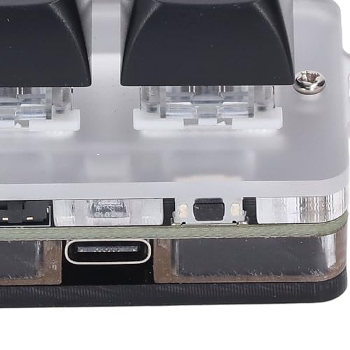 LICAEVEY USB 2-Key Mini Keypad, Support Programming Macro and Software Blue Switch Custom Keyboard with RGB Light, Support Bluetooth and USB C Connection
