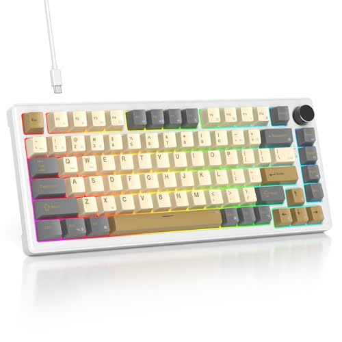 75% Retro Mechanical Keyboard Gasket with Knob, Custom Wired Creamy Gaming Keyboard TKL 75 Percent Hot Swappable RGB Backlit, Pre-lubed Switch for Win/MAC PC Laptop（Shimmer/White Switch） - color: Shimmer/White Switch