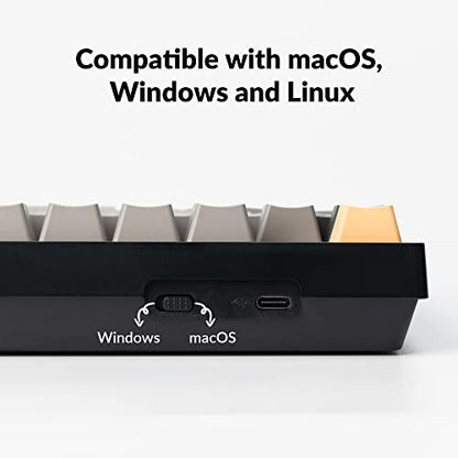 Keychron C2 Pro Wired Custom Mechanical Keyboard Full Size Layout QMK/VIA Programmable Macro RGB Backlit with Hot-Swappable Keychron K Pro Red Switch OEM Profile PBT Keycaps for Mac Windows Linux - style: Hot-swap Keychron K Pro Red Switch