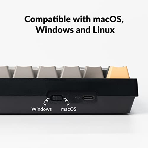 Keychron C2 Pro Wired Custom Mechanical Keyboard Full Size Layout QMK/VIA Programmable Macro RGB Backlit with Hot-Swappable Keychron K Pro Brown Switch OEM Profile PBT Keycaps for Mac Windows Linux - style: Hot-swap Keychron K Pro Brown Switch