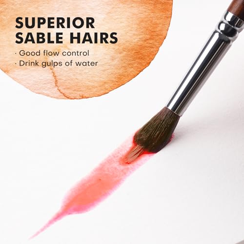 Watercolor Brushes Professional, Fuumuui 4Pcs Extended Needle Point Brushes Synthetic Extra Long Pinhead Brush with Sable Body for Fine Detailing - Watercolor Acrylic Gouache Inks Painting - color: Brown-4pcs
