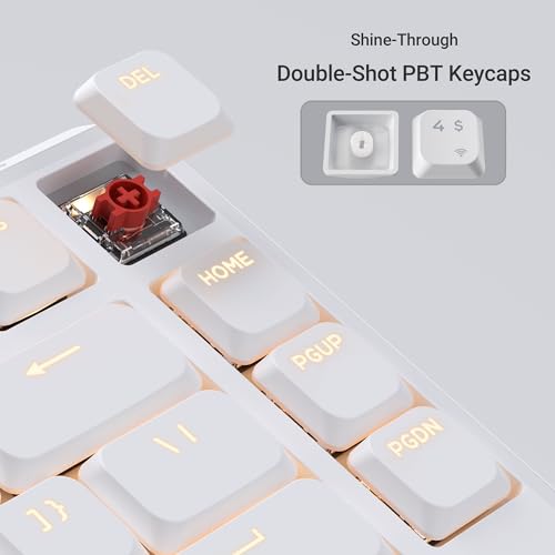 Keychron KJ1 Low Profile Wireless Mechanical Keyboard - 75% Layout Red Switch, QMK RGB Backlit, 2.4G/Bluetooth/USB-C, Double-Shot PBT Keycaps, 2000mAh Battery, Mac/Win/Linux Compatible - White - style: White - Red Switch