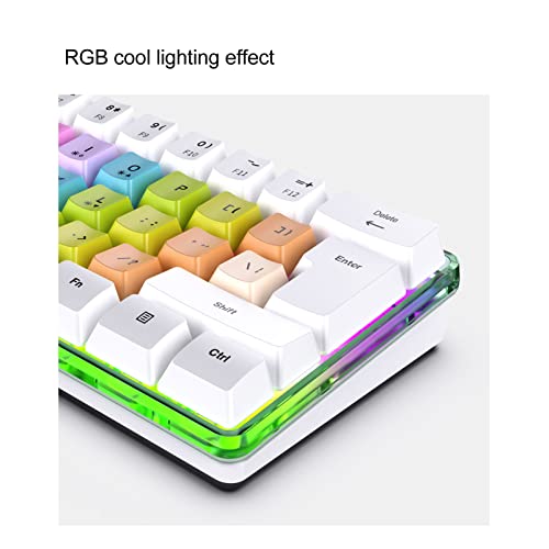 61 Keys Mechanical Gaming Keyboard RGB Backlit Compact 60 Percent Wired Keyboard with Colorful Keycaps for PC, Office Amp,Gaming Portable Mini Keyboard with Optical Switches (White) - color: White
