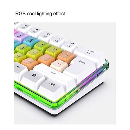 61 Keys Mechanical Gaming Keyboard RGB Backlit Compact 60 Percent Wired Keyboard with Colorful Keycaps for PC, Office Amp,Gaming Portable Mini Keyboard with Optical Switches (White) - color: White