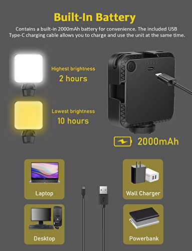 NexiGo 1080P Business Webcam Kits, N660 HD Web Camera with Microphone and Privacy Cover, Software Control, Enhanced Video Conference Lighting Kit with Webcam Style Clip, for Zoom/Skype/Teams