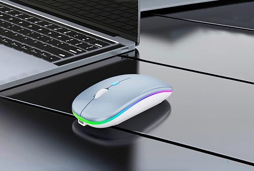 WREANU Wireless Bluetooth Mouse Rechargeable Laptop Mice with LED Lights Silent Slim Use(BT5.2 and 2.4G Portable USB) Dual Mode Computer Mouse for Laptop/iPad/Tablet/Apple/Computer/Mac (Blue) - color: Blue