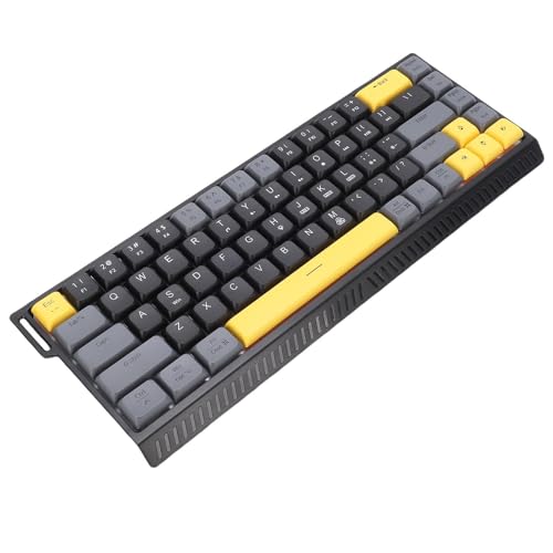 Zopsc Wired Computer Keyboard, Quiet Anti Ghosting Slim Keyboard with RGB Backlit, Scissor Switch Compact 68 Keys Keyboard for Work Gaming, Office Laptop - color: Black Gray