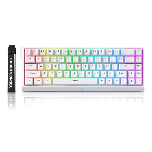 MCHOSE ACE 68 Magnetic Switch RGB Gaming Keyboard,60% Hall Effect Rapid Trigger Adjustable Actuation Hot Swappable Wired Mechanical Keyboard 8K Hz Polling Rate for PC/Mac Gamer (White) - color: White-Blue Ice Magnetic Switch