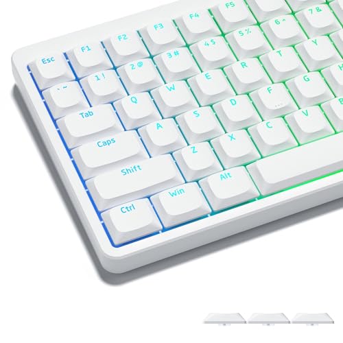 Womier Keycaps, Low Profile Keycaps, Shine Through Key caps Custom | PBT Keyboard Key caps for 60% 65% 75% 80% 100% Cherry Gateron MX Switches Mechanical Keyboard,White Backlight - color: White