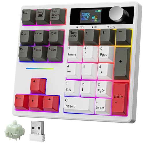 BOYI TD31Pro Mechanical Number Pad,Bluetooth5.0/2.4G/Type-C Wireless Numeric Keypad,RGB HotSwap Numpad with Screen&Knob,PBT Keycaps Rechargeable Gasket Number keypad for Working/Gaming(White-Grey) - color: White-Grey