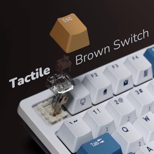 RK ROYAL KLUDGE RK98 Wireless Mechanical Keyboard, 100 Keys 98% Layout with Custom Switches Hot Swappable, Tri-Mode BT5.1/2.4G/USB-C Full Size Gaming Keyboard with Numpad RGB, Brown Switch - color: White, size: Hot Swap Brown Switch