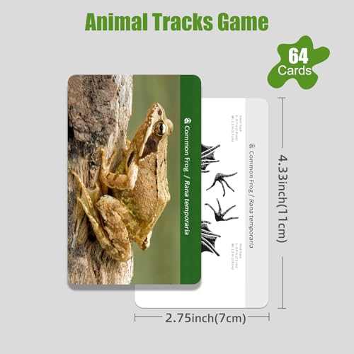 MEROCO Forest Animals Tracks Cards for Kids,Animal Tracks Matching Game Flash Cards,Homeschool Animal Games Kids Learning Educational Toys Preschool Autism Learning Materials - style: Forest Animals And Birds Tracks Cards