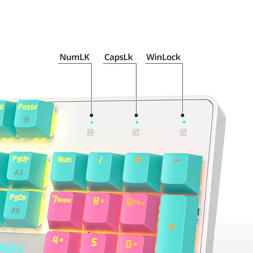 surmen Full Size Pink Creamy Keyboard with Number Pad, 104 Keys RGB Wired Mechanical Gaming Keyboard Backlit with PBT Keycaps Linear Red Switch for Laptop Desktop PC Gamers（104 Miami） - color: 104 Miami