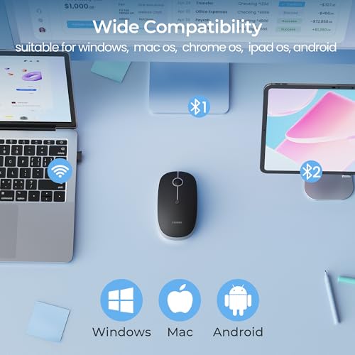 seenda MOU001 Bluetooth Wireless Mouse for Laptop,Slim Computer Mice,Black | Rechargeable Computer mouse with USB and dual Bluetooth, 3-level DPI and quiet clicks for Windows, Macbook, iPad and Travel. - color: black