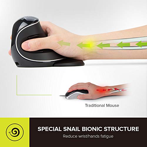 DELUX Wireless Ergonomic Vertical Mouse,Ergo Mouse for Large Hands (M618PD) - color: Bluetooth+2.4G