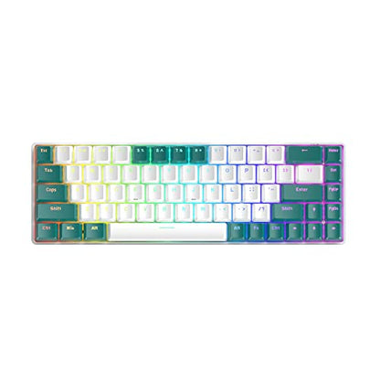 68 Keys Wired Mechanical Gaming Keyboards with RGB Backlight, Mini Portable 60% Mechanical Gaming Keyboard for Computer Laptop Gamer (Aqua Edition Blue Switch) - color: Aqua Edition Blue Switch