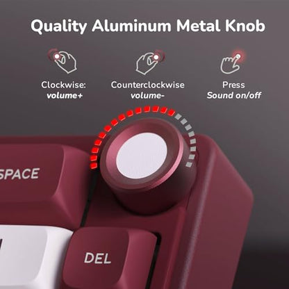RK ROYAL KLUDGE R65 Wired Mechanical Keyboard with Volume Knob, 60% Percent RGB Backlit Gaming Keyboard Gasket Mount with PBT Keycaps, MDA Profile, QMK/VIA, 66 Keys Hot Swappable Light Switch, Red - color: Red