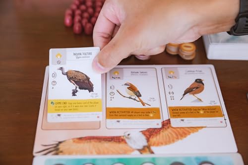 Stonemaier Games: Wingspan Asia by Elizabeth Hargrave | Standalone Game or Expansion to Wingspan | A Relaxing Game About Collecting Birds | Add to Wingspan for 6-7 Players | 1-2 Players, 70 Mins