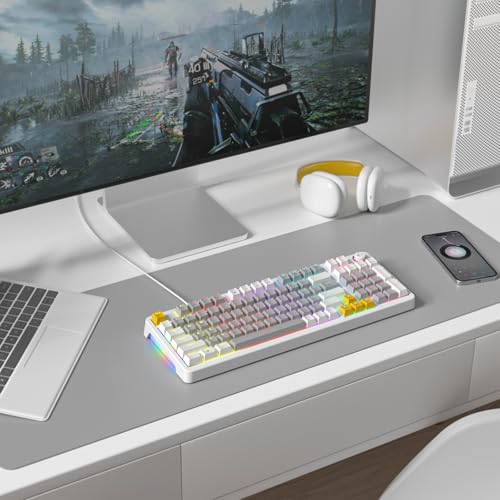 AK96 Mechanical Keyboard Smart Display & Knob, Top Mount 96% Wired Mechanical Keyboard USB-C, Hot Swappable, Software Support, Creamy Sounding, 96 Keys(Grey) - color: Gray