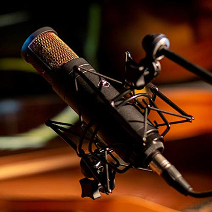 Antelope Audio Edge Duo Double Membrane Condenser Microphone | Condenser Microphone, USB/XLR, PC Compatible, Professional Studio, Singing, Podcasting, Gaming, Recording, Streaming & Vocals - size: Edge Duo