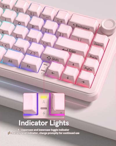 womier L65 60% Pink Mechanical Keyboard with Knob,4000mAh,Tri Mode USB-C/BT5.0/2.4G,RGB Backlit,Hot Swap,Crystal Jelly keycaps,Linear Switch,Gasket Mounted Wireless Gaming Keyboard for PC/Mac - color: Pink Jelly