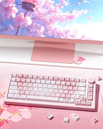 dagaladoo PBT keycaps Set, Cherry Profile Keyboard Keycaps Cute | Glossy Cherry Blossom key caps,Custom keycaps for 60% 65% 75% 100% Cherry-MX switch Mechanical Keyboard(Pink,134-keys) - color: Glossy Pink