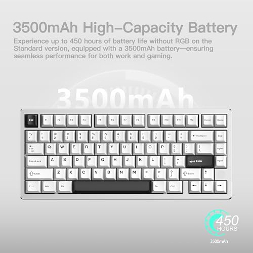 KEEBMONKEY WOBKEY Rainy 75 CNC Aluminum HMX/JWK/Cocoa Switches Triple-Mode Connectivity Mechanical Keyboard with Superior Acoustics, No RGB/PP/Mirrored Glass/3500mAh/Violet Switch (Lite - Silver) - style: Lite - Silver