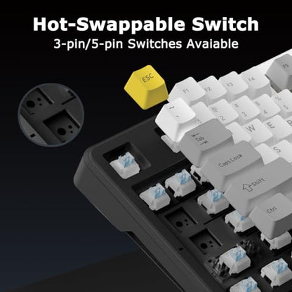 AK870 87Keys Hot-Swappable Mechanical Keyboard, Gasket Mount Wired Gaming Keyboard with Linear Flying Fish Switches, 80% Compact, PBT Keycaps, RGB Backlit for PC Gamers & Typists (Starry Night Grey) - color: AK870 Flying Fish Switch Starry Night Grey, siz
