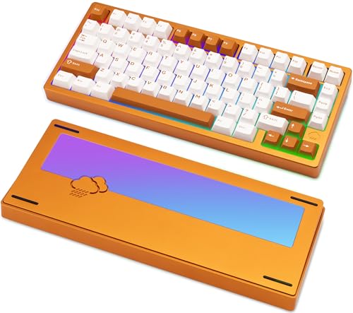 KEEBMONKEY WOBKEY Rainy 75 Aluminum HMX/JWK Switches Mechanical Keyboard with Superior Acoustics, Wired, BT, 2.4G Wireless Connectivity (Pro Orange(Mirrored Glass Weight)) - style: Pro Orange(Mirrored Glass Weight)