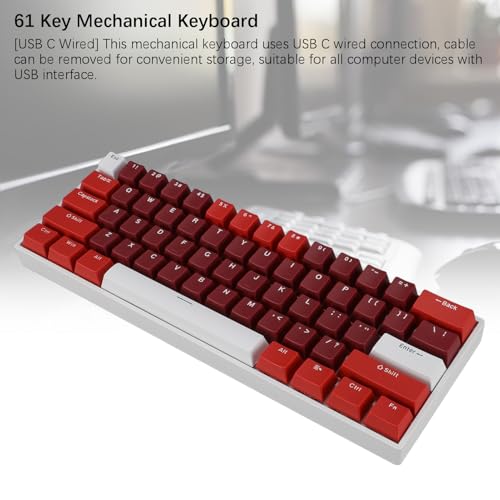 FILFEEL Ergonomic 61 Key Mechanical Keyboard Hot Swappable Blue Switch RGB Backlit Compact 60 Percent USB Wired Gaming Office Typing Portable Minimalist Desk Setup for Gamers Programmers
