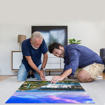 Jigsaw Puzzles for Adults 1000 Piece Puzzle for Adults 1000 Pieces Puzzle 1000 Pieces-Niagara Falls - color: Niagara Falls