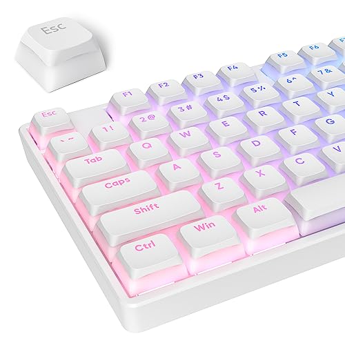 Pudding Keycaps PBT Double Shot Keycaps Gaming Keycap XDA Profile for US/ISO Layout 60% 65% 75% Mechanical Keyboard(White) - color: White pudding