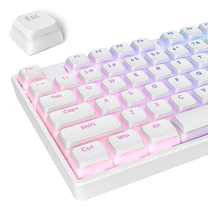 Pudding Keycaps PBT Double Shot Keycaps Gaming Keycap XDA Profile for US/ISO Layout 60% 65% 75% Mechanical Keyboard(White) - color: White pudding