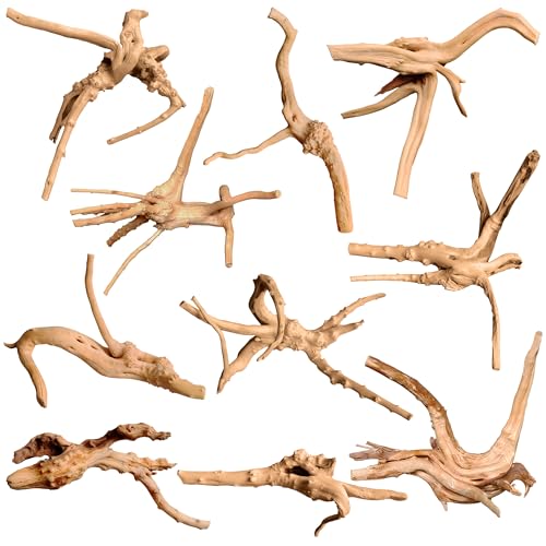 majoywoo Natural Small Driftwood for Aquarium Decor Fish Tank Decorations, Assorted Spider Wood Branch 2-4.5" 10 Pcs, Reptile Decor - size: Spiderwood 2 to 4.5 Inch(Pack of 10)