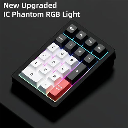 PANDA20 Mechanical Number Pad,VIA/QMK Programmable Macro Numpad Aluminum CNC Hot Swappable Gasket Wireless Numeric Keypad BT5.0/2.4Ghz/USB-C RGB Gaming Keypad for Laptop/PC (Silver) - color: Silver