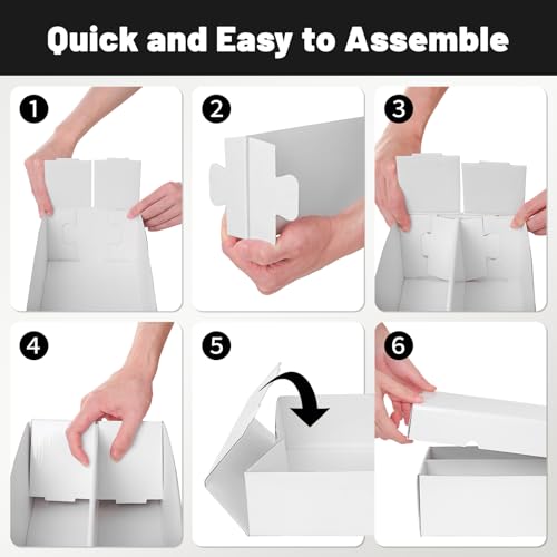 NUMINA 6 Pack 2-Row Card Storage Boxes (Holds Up to 1600 Cards per Box), Easy Access Trading Card Organizer for MTG & Sports Cards, Fits Sleeved & Toploader Cards - size: 6 Pack