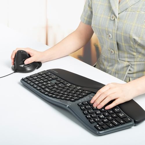 DELUX 유선 인체 공학적 수직 마우스, 중손을 위한 수직 마우스, 탈착식 손목 받침대, 무소음 클릭 Ergo 마우스, 최대 4200 DPI, 6개의 프로그래밍 가능한 버튼, 노트북/PC와 호환 (M618XU-화이트) - color: 화이트 & 라이트 그레이, style: 유선