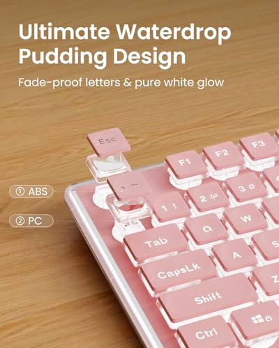 SEUNKWANG Wired Backlit Keyboard with Pudding Keycaps, Quiet Full Size Computer Keyboard White Backlight Easy-to-Read, Never Fade, Metal Panel, USB Cute Desk Setup for Windows PC Desktop, Pink - color: Pink