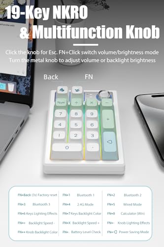 Gasket Creamy Mechanical Numpad Programmable Keypad RGB LED Backlit | Wireless 2.4G/Bluetooth 5.0/Wired USB-C Hot Swappable Macro Number Pad Rechargeable Numeric Keyboard Metal Knob for Win/Mac - color: Mint