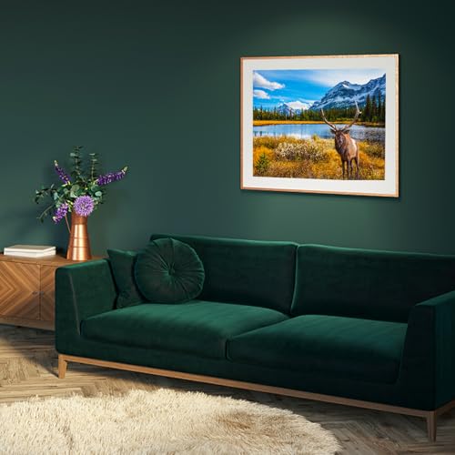 Jigsaw Puzzles 2 Pack 1000 Pieces - Puzzles for Adults - Rocky Mountain & Spirit Island National Park Impossible Challenging Puzzles - color: Rocky Mountain & Spirit Island National Park