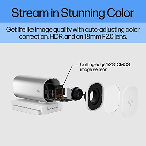 HP 960 4K Streaming Webcam - 4K 30 FPS/1080p 60 FPS Computer Camera & Dual Mics, Noise Reduction, & Privacy Cover - Zoom Certified - Swivel/Tilt Adjust - Color Correction, AF & Framing (695J6AA#ABL)