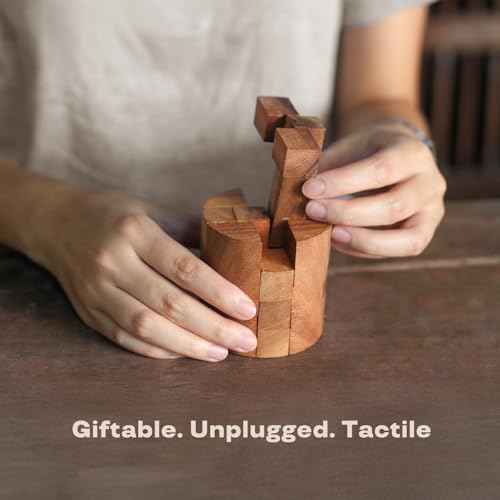 Powder Keg: 3D Wooden Puzzles Brain Teasers for Adults Interlocking Mechanical Handheld Mind Logic Puzzles Unique Gift for Christmas and Birthdays Office Desk Decor