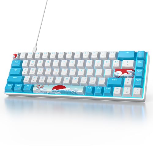 Owpkeenthy Wired 65% Mechanical Gaming Keyboard with Blue Switch 60% Ultra Compact RGB Gaming Keyboard Backlit Keys N-Key Rollover for PC PS5 Xbox(Blue/ 68 Blue Switch) - color: Blue/Blue Switch