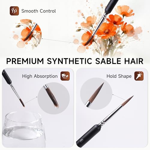 Professional Sable Hair Detail Paint Brush Set - 6 Miniature Art Brushes for Fine Detailing & Art Painting - Acrylic, Watercolor, Oil - Miniatures, Models, Black - color: Black