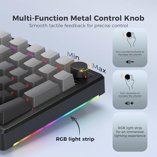 LUMI101 Wireless Mechanical Keyboard,Full-size keyboard with numeric keypad，Tri-Mode BT5.0/2.4GHz/USB-C Hot Swappable Custom Keyboard,RGB Backlit Computer Gaming Keyboards for PC/Tablet/PS/Xbox(Black) - color: Black