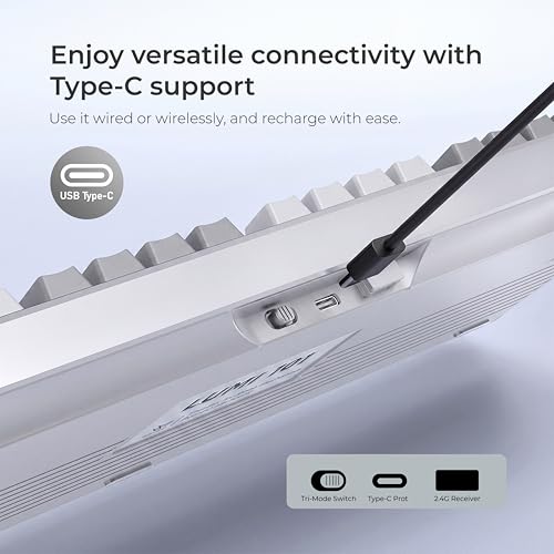 LUMI101 Wireless Mechanical Keyboard,Full-size keyboard with numeric keypad，Tri-Mode BT5.0/2.4GHz/USB-C Hot Swappable Custom Keyboard,RGB Backlit Computer Gaming Keyboards(White Grey Mute Switch) - color: White Mute Switch