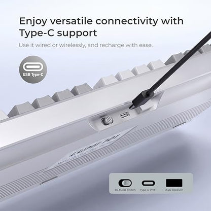LUMI101 Wireless Mechanical Keyboard,Full-size keyboard with numeric keypad，Tri-Mode BT5.0/2.4GHz/USB-C Hot Swappable Custom Keyboard,RGB Backlit Computer Gaming Keyboards(White Grey Mute Switch) - color: White Mute Switch